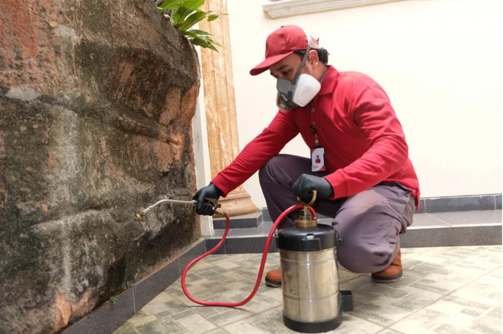 Solusi Anti Rayap Bandung: Cara Ampuh Melindungi Rumah dari Serangan Rayap